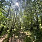 Sanmari_forest Chalet